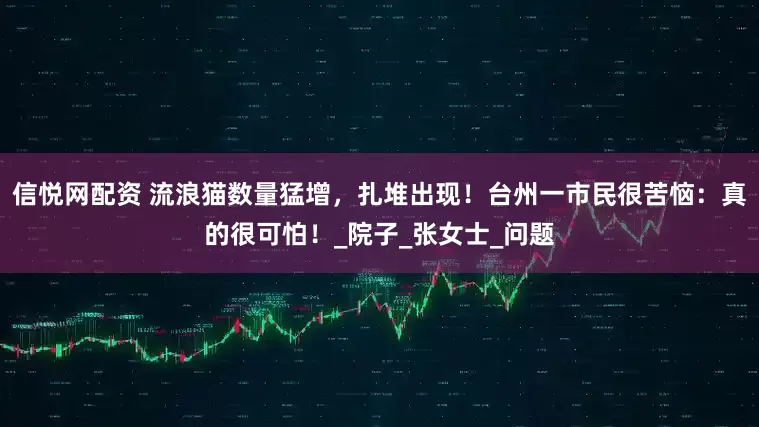信悦网配资 流浪猫数量猛增，扎堆出现！台州一市民很苦恼：真的很可怕！_院子_张女士_问题