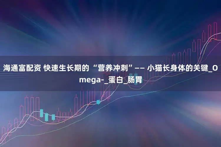 海通富配资 快速生长期的 “营养冲刺”—— 小猫长身体的关键_Omega-_蛋白_肠胃