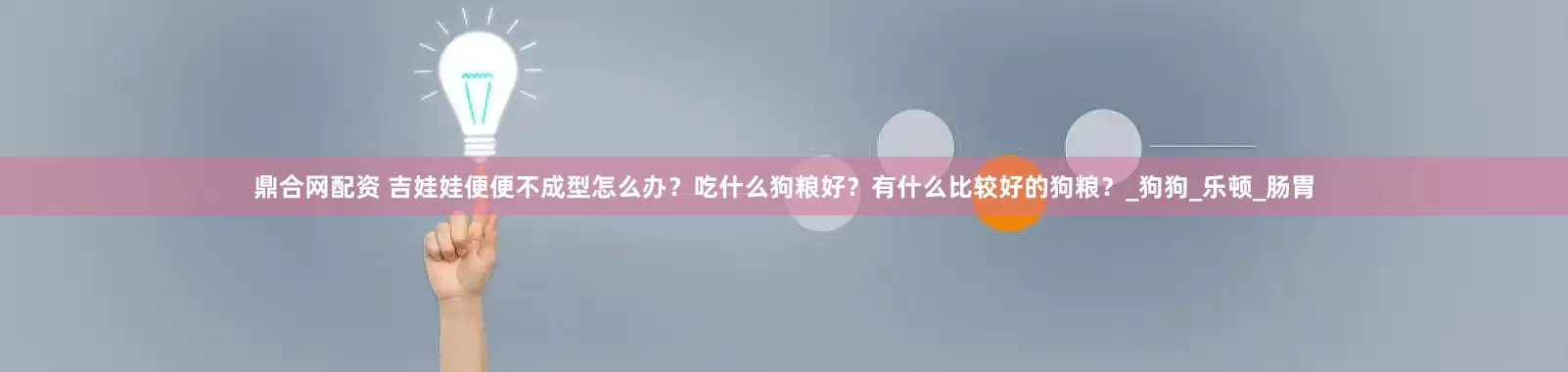 鼎合网配资 吉娃娃便便不成型怎么办？吃什么狗粮好？有什么比较好的狗粮？_狗狗_乐顿_肠胃